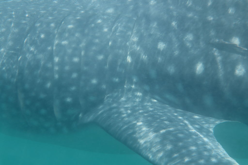 6a990b80-effd-47ce-9e7d-3838a660f4a7