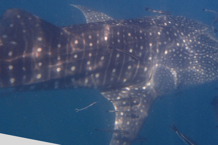 1d90ef23-88e6-428e-9c5c-d39a6a621adb