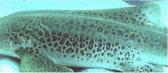 38dd91af-aa94-438f-a041-466acb4467de