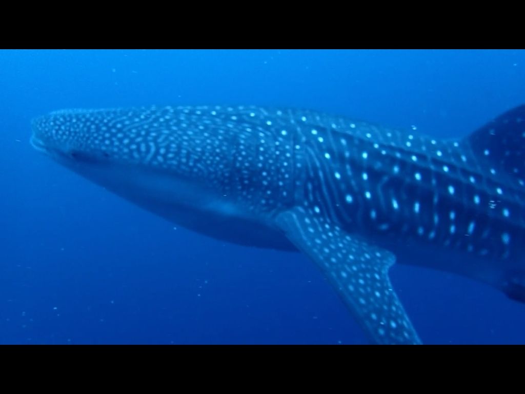 9c3ab800-69fb-4017-bdd8-02fb4e2996cb