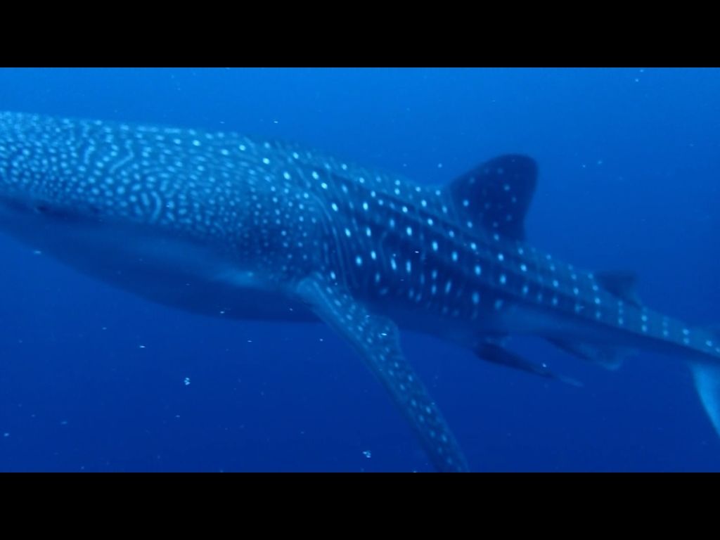 9c3ab800-69fb-4017-bdd8-02fb4e2996cb