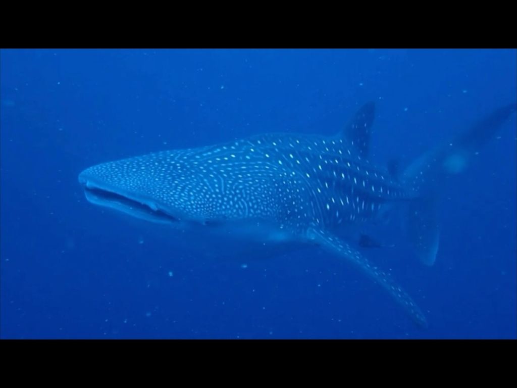 9c3ab800-69fb-4017-bdd8-02fb4e2996cb