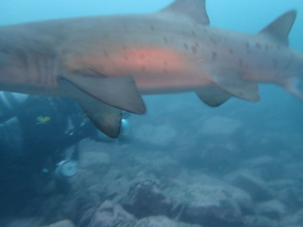 09f1bb00-1c24-4531-aba5-f3e58fbf9555