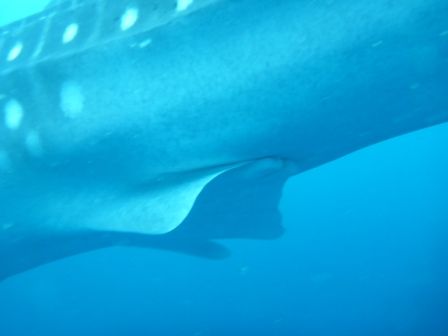 f2cbf1d5-c9ac-4730-a5c0-56bfd54b4d21