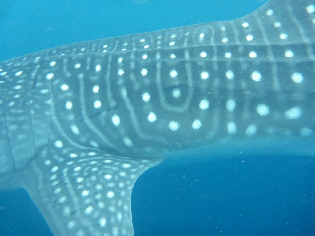 f2cbf1d5-c9ac-4730-a5c0-56bfd54b4d21