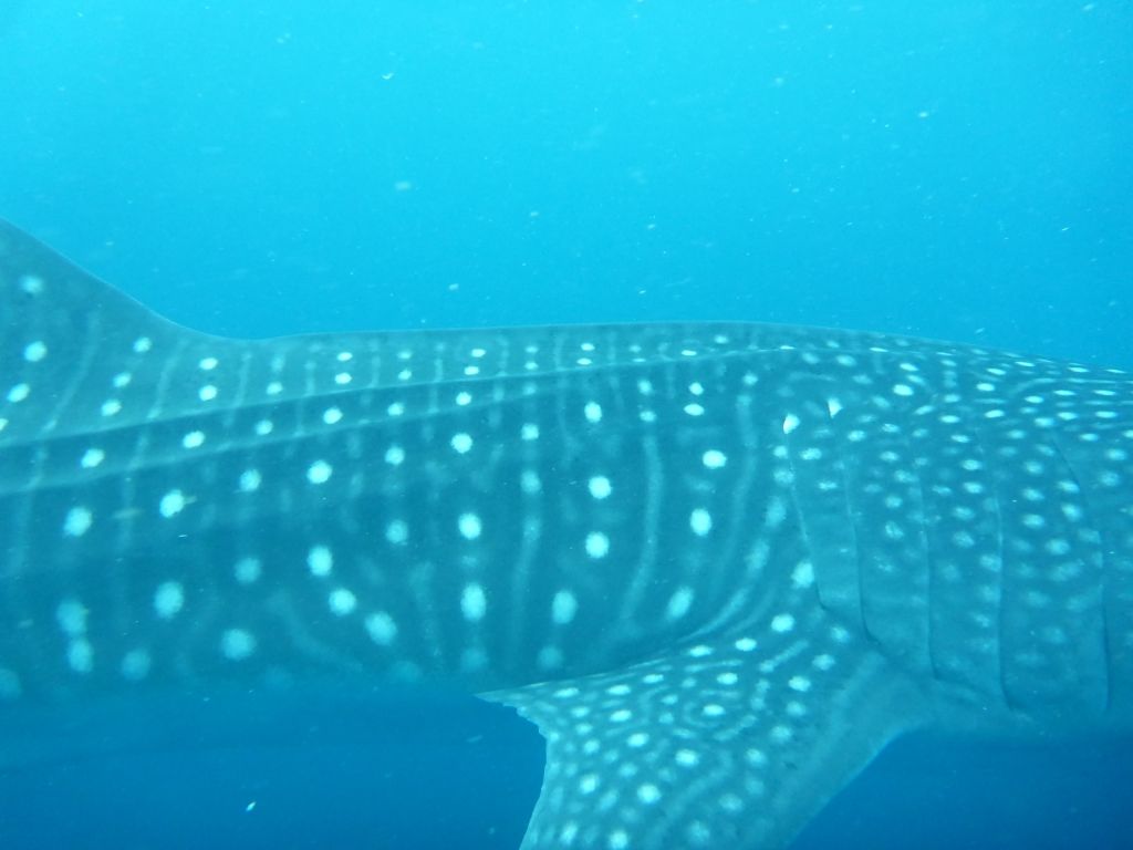 f2cbf1d5-c9ac-4730-a5c0-56bfd54b4d21