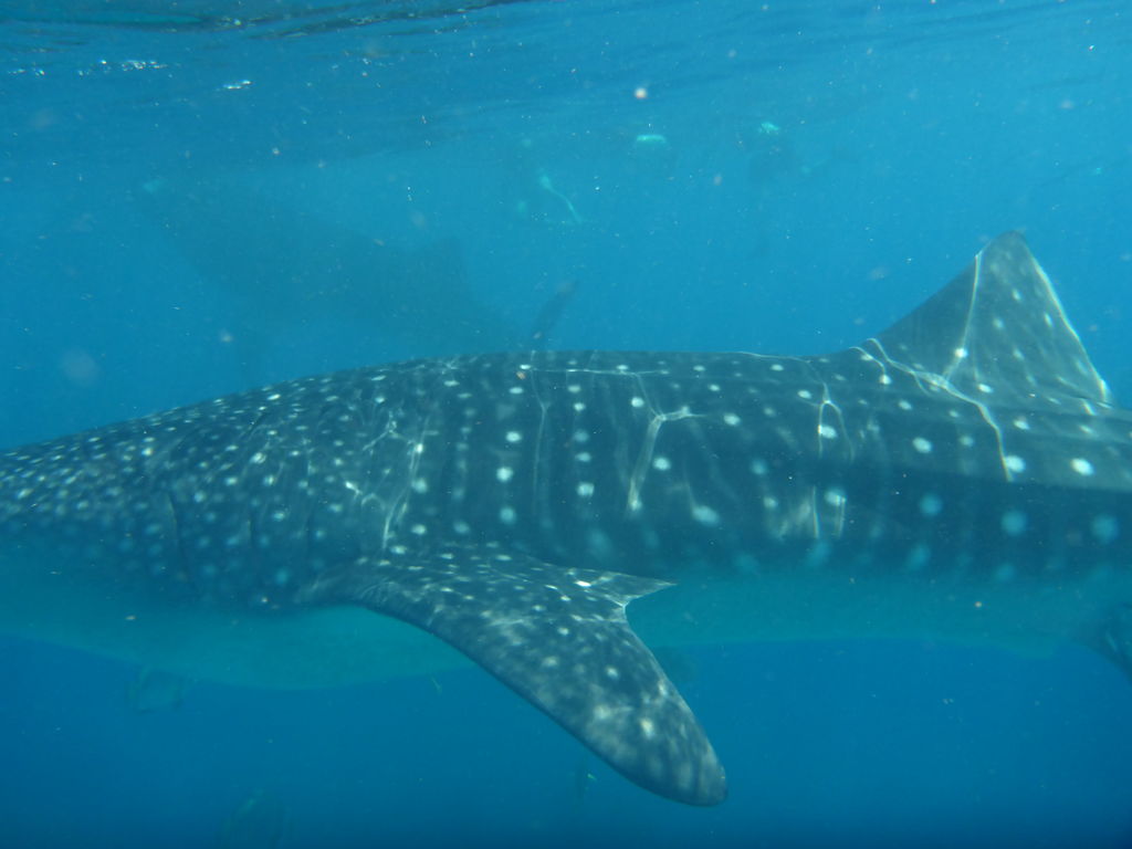 d815a1e4-b2e8-44e6-b04a-0d9ea574116f