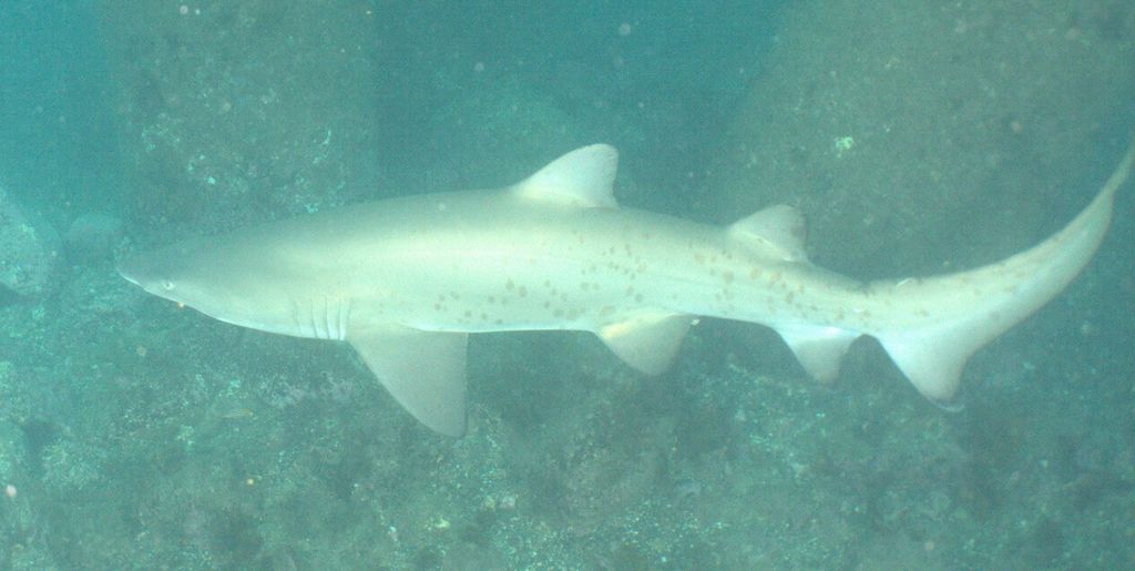 d9904ba3-dd05-4550-b6a8-8254650242d3