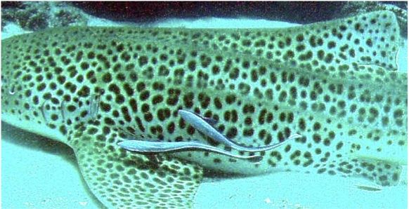 f396afc2-c0e4-45df-8bbb-f30b74badb78