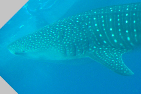 f6f17ce9-3630-479a-b9fc-28eafdc79cce