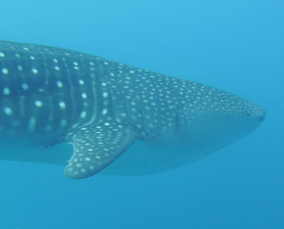 f6f17ce9-3630-479a-b9fc-28eafdc79cce