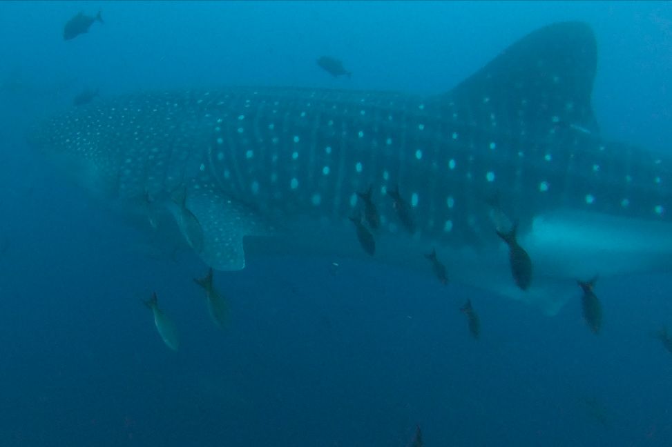 d5d8ebe7-6ca3-4838-874c-f328bd77a8ac