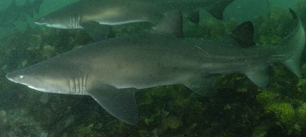 d8cfac16-21fd-4dea-b7cf-90ad1a162959