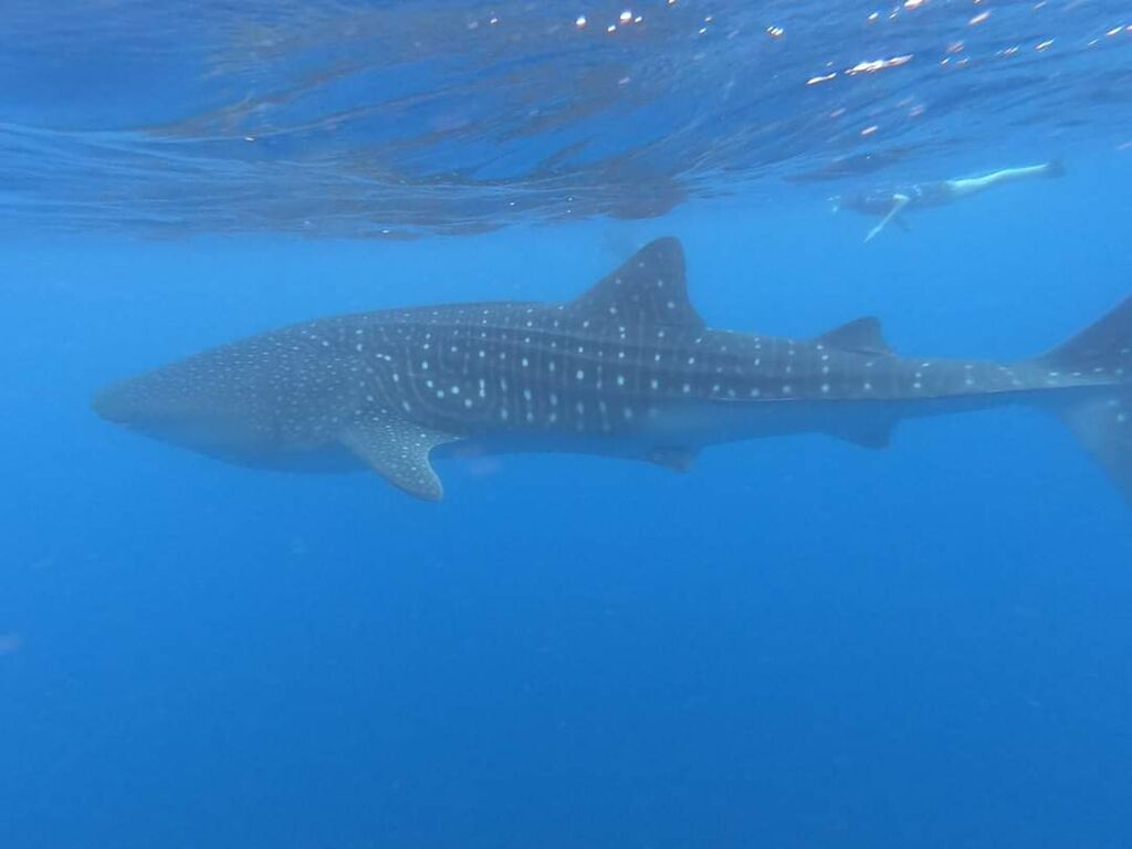 b295d352-b957-4781-a9b1-1bb03fa78220