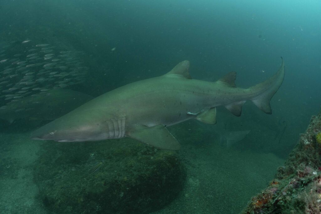 818e2344-08ad-4002-b0d0-5a91474498d5