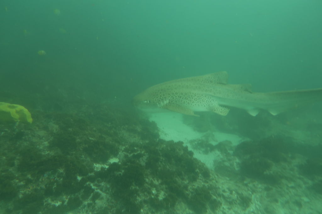 26d5be9a-1dc7-4d89-bb5e-0cb38a025eb8