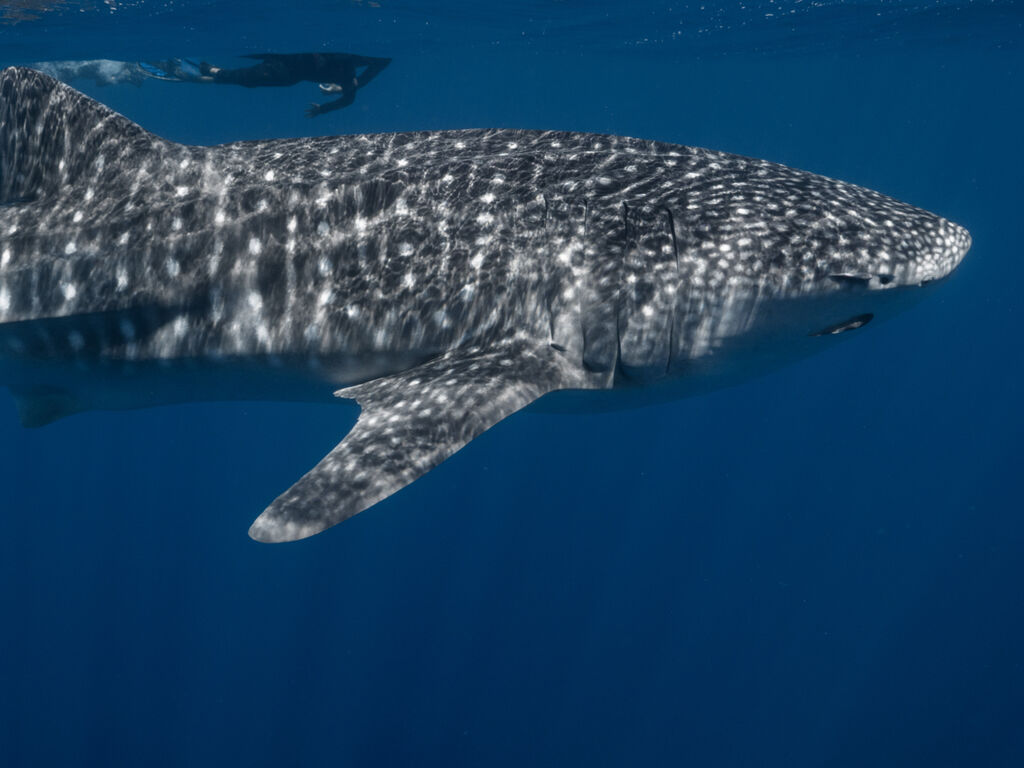 af24b216-4fd2-4f95-bf76-7d575d3b51f7