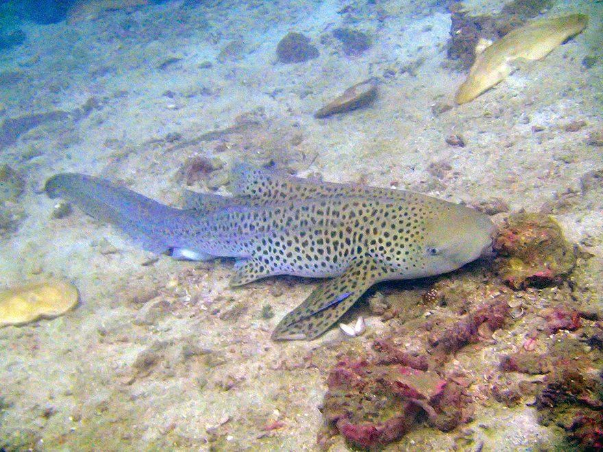 0e986ae3-2ee3-4636-93a6-4aa15d0eac54