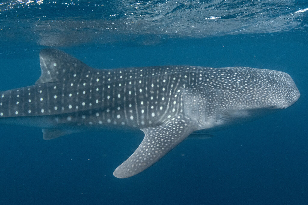 a23ab8d1-c280-4a5e-9120-3e067595799b