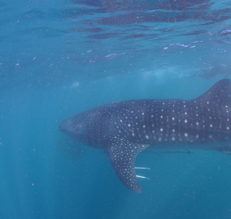 b2f89458-d50c-4d43-a721-28a5912b88a5