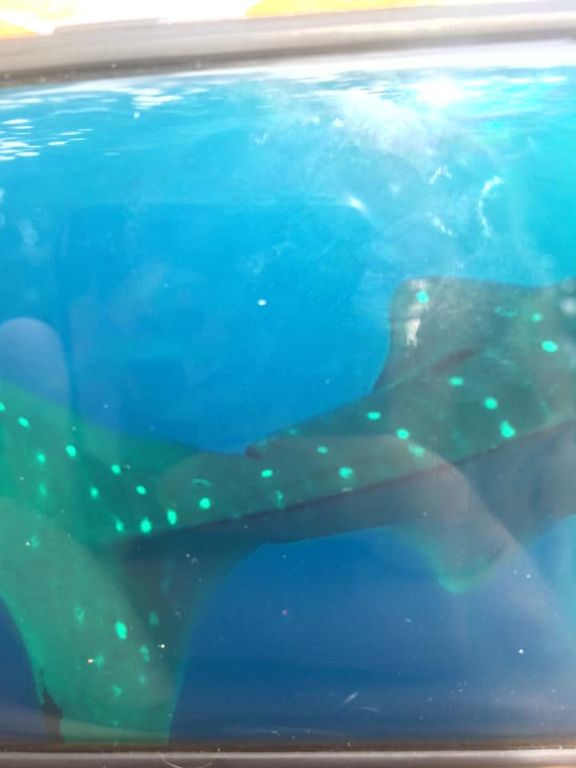 129afc41-7c0e-45af-822f-1ec53bb57473