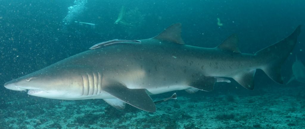 a7a25768-25a7-4b7f-aaa8-a4182032a77a