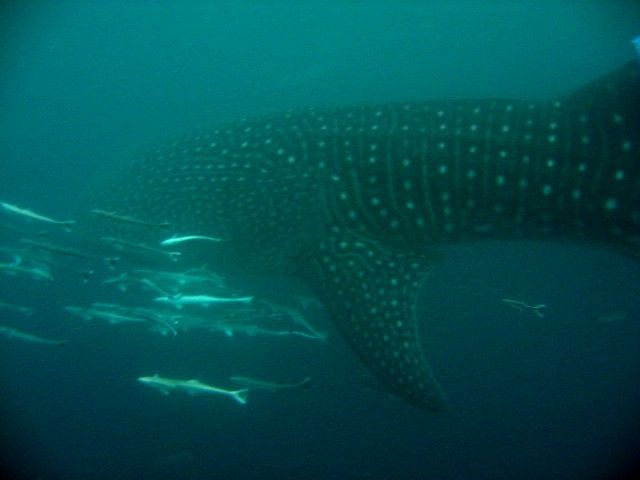 21f99702-ec86-4147-b711-7e906f5e6482