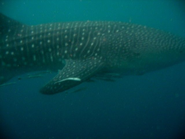 21f99702-ec86-4147-b711-7e906f5e6482