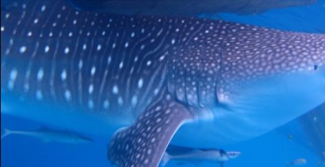 6beb0e79-5eaf-46bd-bbaf-de2469d02914