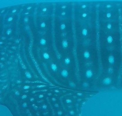 f426addc-b68e-4632-a481-cb5cb0aa160a