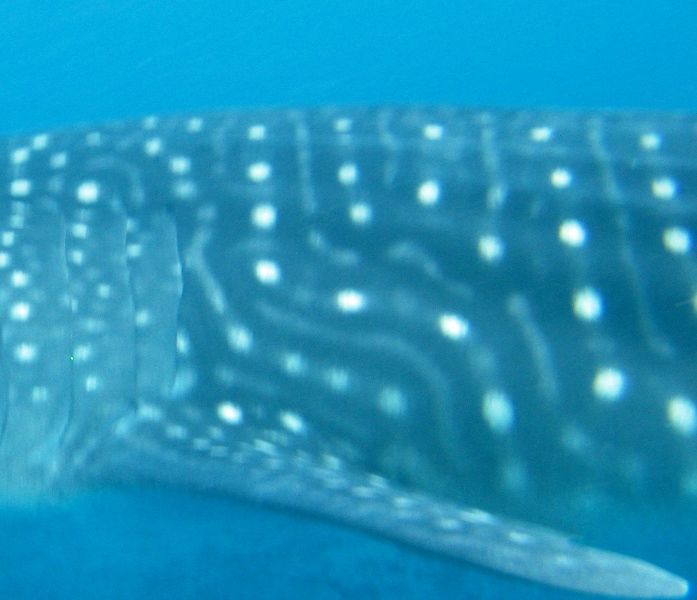 a52dd046-c8f6-4952-98a7-2a924e46f774