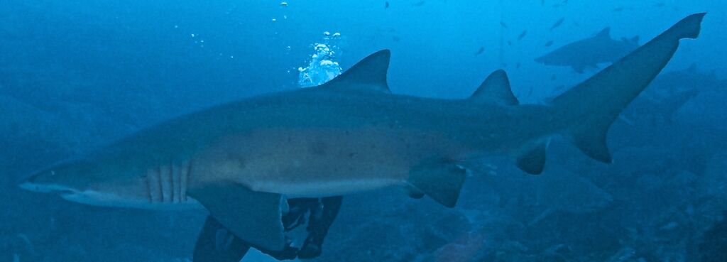 4f6a198b-f644-4c92-bd71-7b46581f8973