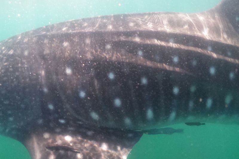 c93105be-a323-4915-adb0-788f67a43502