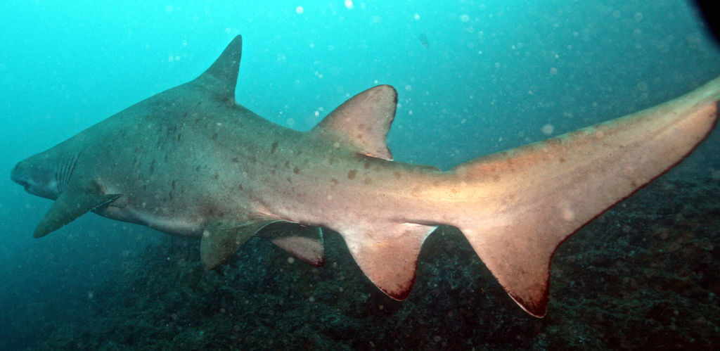 f630361e-526d-4098-8608-306a5a7a9d54