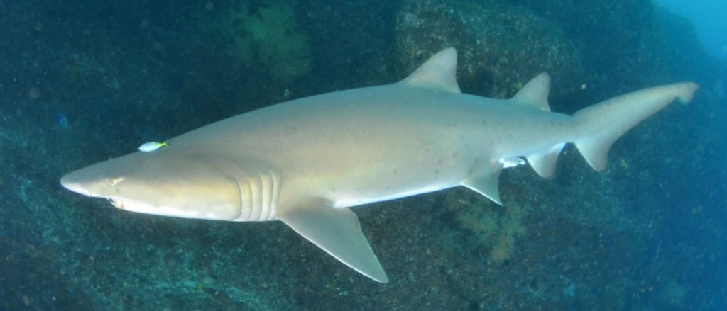 8b1c3764-e77d-4bf2-ae9e-435c5f7f2ab7