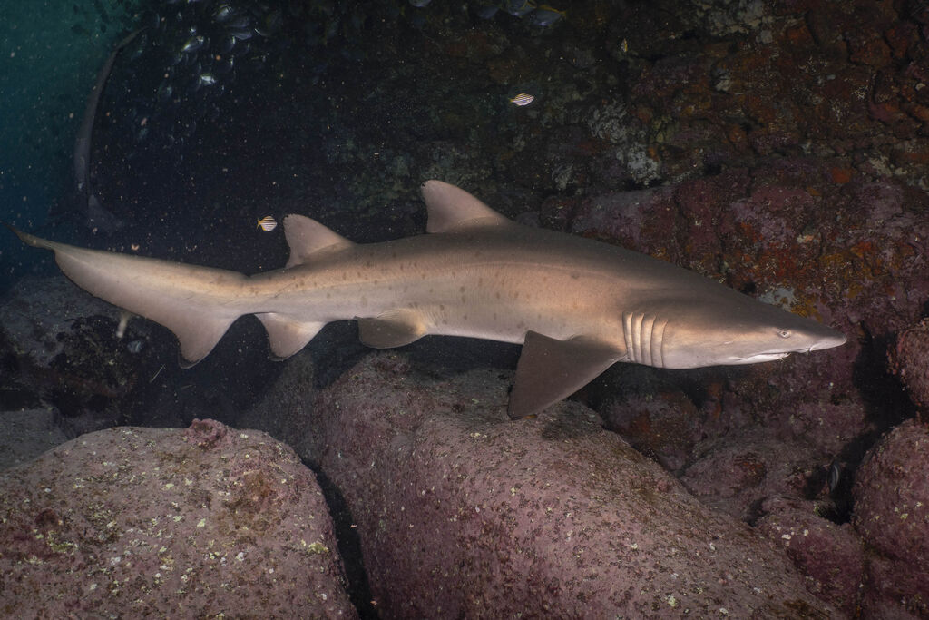 948c749f-10a3-4759-9481-b15da4e68670