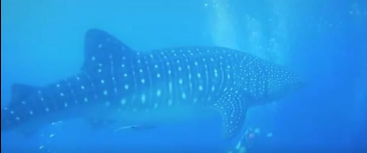 b47ad88d-076f-4e91-9693-5a167cd3aaf7