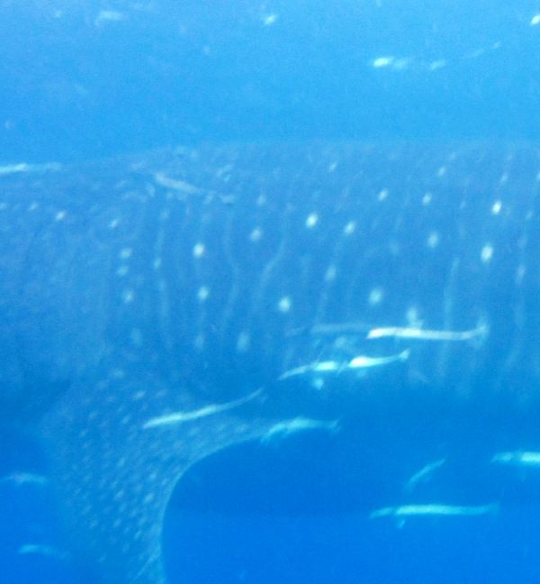 9a8616fd-3ce1-4fe7-96ed-a40924630e1f