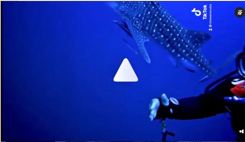 40dcb1bd-4a94-4eec-b4b7-bf2e31813e34