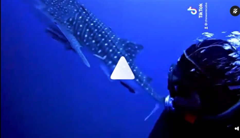 40dcb1bd-4a94-4eec-b4b7-bf2e31813e34