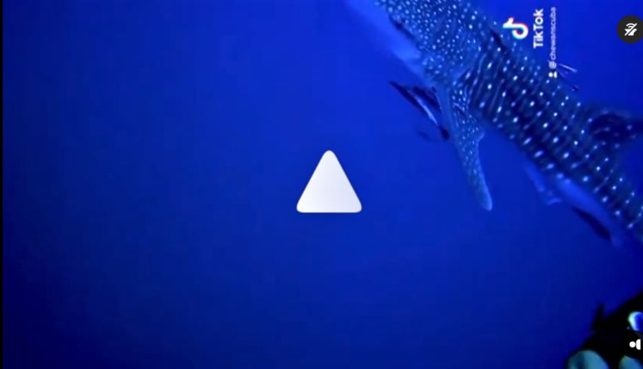 40dcb1bd-4a94-4eec-b4b7-bf2e31813e34