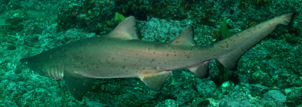 92b6248b-10a3-4f05-bd7a-10c9263f7126