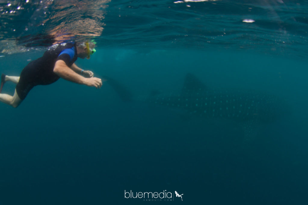 8e4ded73-d5ac-491a-92a2-4e9c7baac0f0