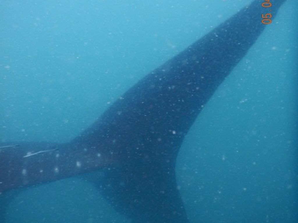 356834c0-b650-49e7-948e-ffcb83d53aa6