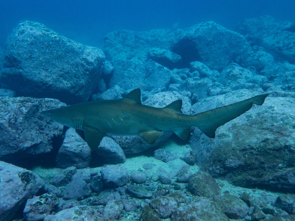 e9a895d2-b298-4fb9-97de-472acb93e6d0