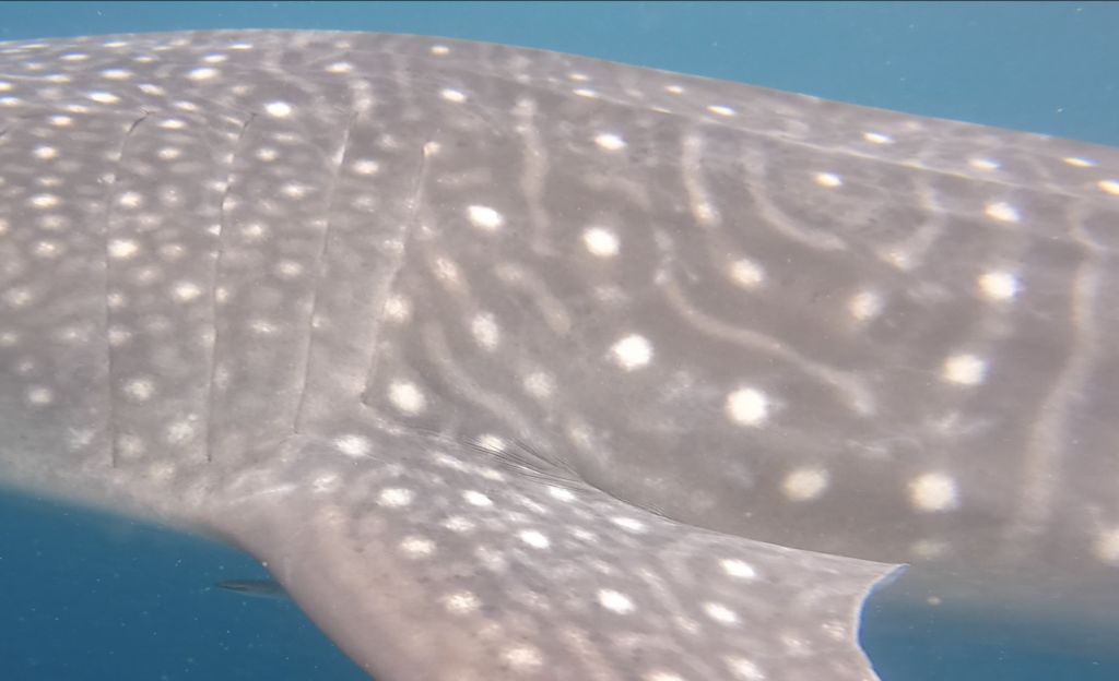 b7d03136-a86b-4b31-941a-c631104717e6