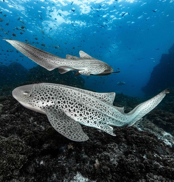 b9609171-24f8-4a67-92bf-9c366a62b0d2