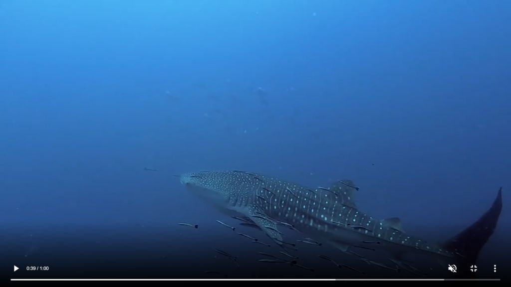 5d766fa6-9703-4e1f-b6c8-e0971f2dd7ca