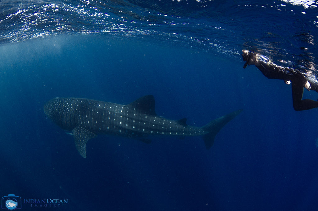 6f227070-4b2d-4ba6-a72e-61057c7d334c