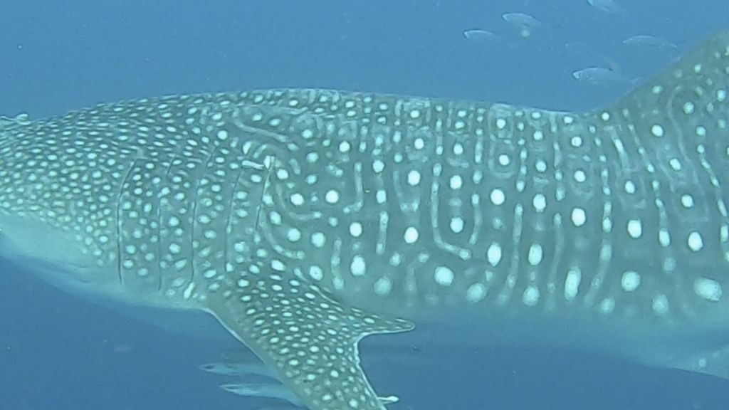 e8f6229b-65ae-4657-a10b-0905bbbb5f1f